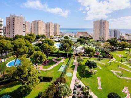 Apartamento en alquiler de temporada en Torremolinos