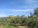 Casa en venta en Alcaudete