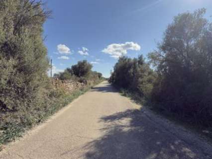 Parcela en venta en Llucmajor