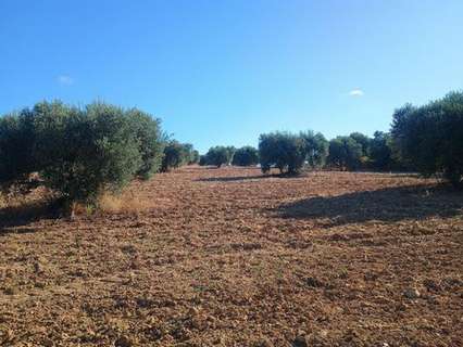 Parcela en venta en Niebla