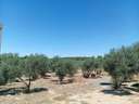 Parcela en venta en Villablanca