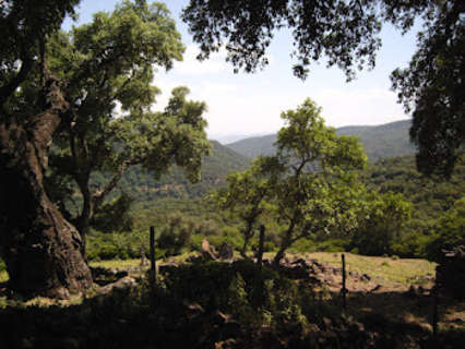 Parcela en venta en Colmenar