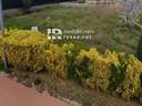 Casa en venta en Torroella de Fluvià