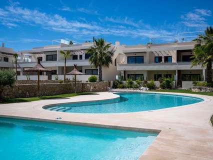 Apartamento en alquiler en Torrevieja