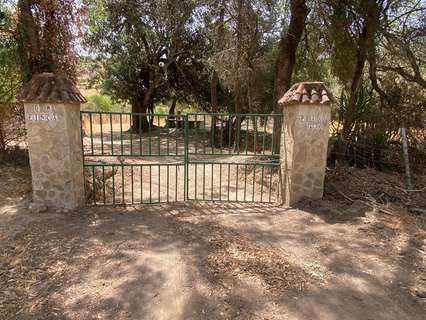 Parcela rústica en venta en Alcalá de los Gazules