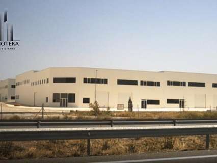 Nave industrial en alquiler en Chinchilla de Monte-Aragón