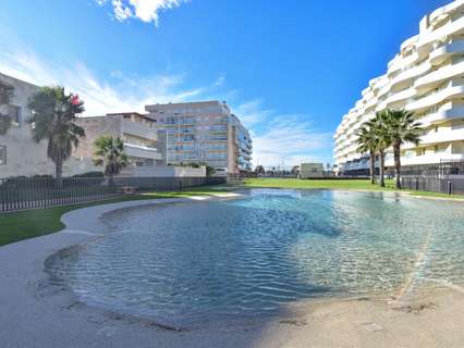 Apartamento en alquiler en Puig rebajado