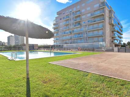 Apartamento en alquiler en Puig