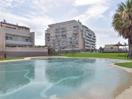 Apartamento en alquiler en Puig