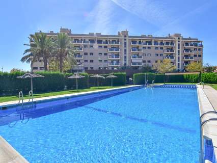 Apartamento en alquiler en Puig
