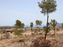Local comercial en venta en Benidorm