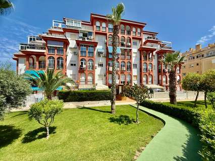 Piso en alquiler en Torrevieja rebajado