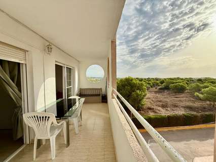 Piso en alquiler en Torrevieja