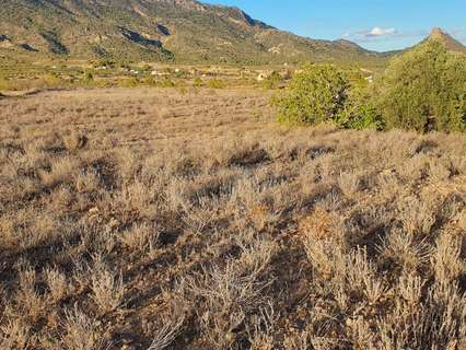 Parcela rústica en venta en Ricote