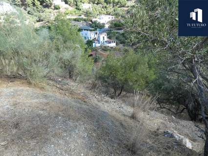 Parcela rústica en venta en Frigiliana