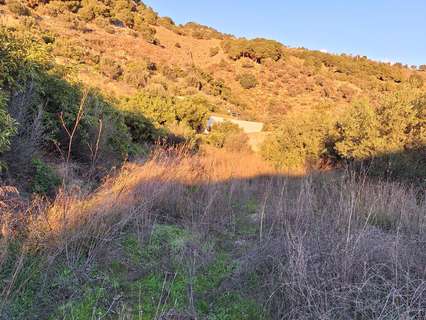 Parcela rústica en venta en Canillas de Aceituno