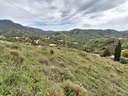 Parcela rústica en venta en Torrox rebajada