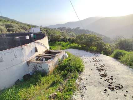 Parcela rústica en venta en Torrox rebajada