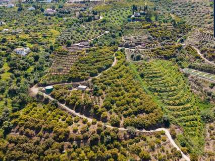 Parcela rústica en venta en Torrox