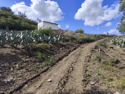 Parcela rústica en venta en Vélez-Málaga