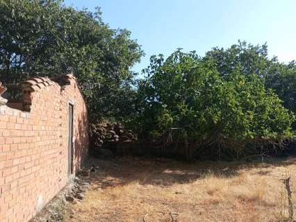 Parcela rústica en venta en Candeleda