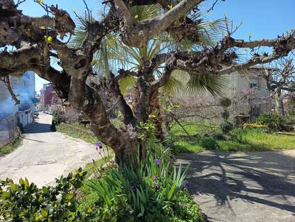 Parcela rústica en venta en Candeleda