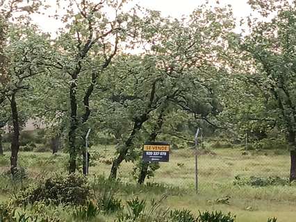 Parcela rústica en venta en Candeleda