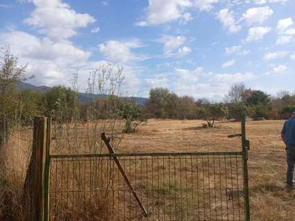 Parcela rústica en venta en Candeleda