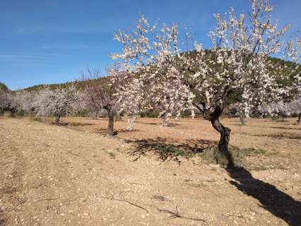 Casa rústica en venta en Bullas