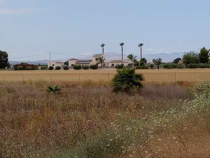 Parcela rústica en venta en Formentera del Segura