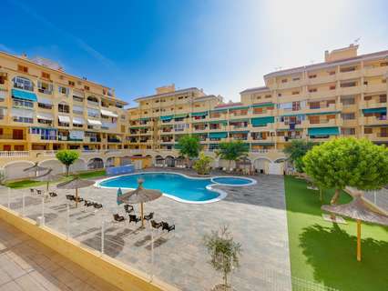 Planta baja en venta en Torrevieja