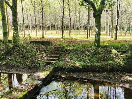 Parcela rústica en venta en Pontevedra