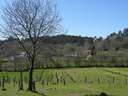 Parcela rústica en venta en Moraña