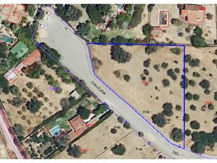 Parcela rústica en venta en Sanlúcar la Mayor