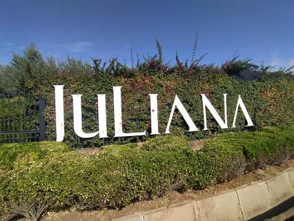 Parcela rústica en venta en Bollullos de la Mitación