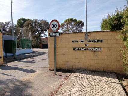 Parcela rústica en venta en Sanlúcar la Mayor