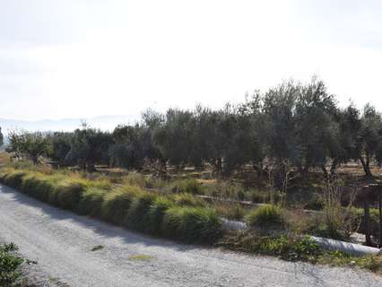 Parcela rústica en venta en Otura