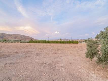 Parcela rústica en venta en La Malahá