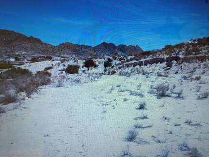 Parcela rústica en venta en Molina de Segura