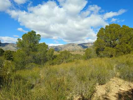 Parcela rústica en venta en Aledo