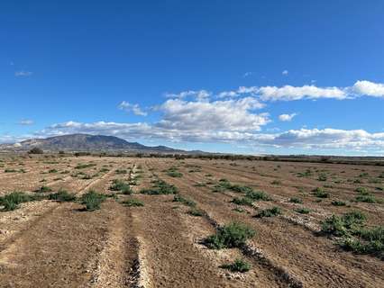 Parcela rústica en venta en Alhama de Murcia