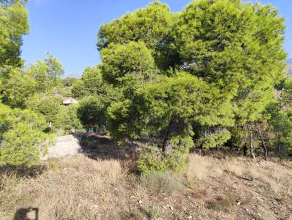 Parcela rústica en venta en Totana