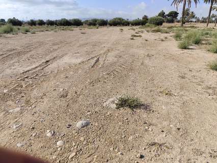 Parcela rústica en venta en Totana