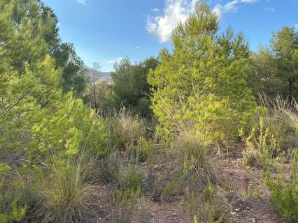 Parcela rústica en venta en Totana