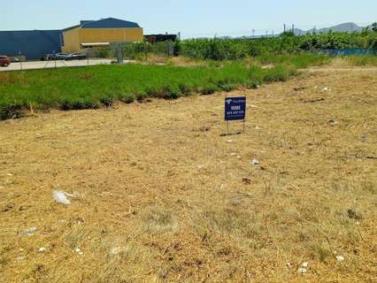 Parcela rústica en venta en Beniel