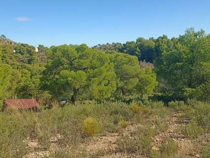 Parcela rústica en venta en Totana