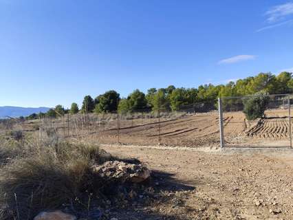 Parcela rústica en venta en Aledo