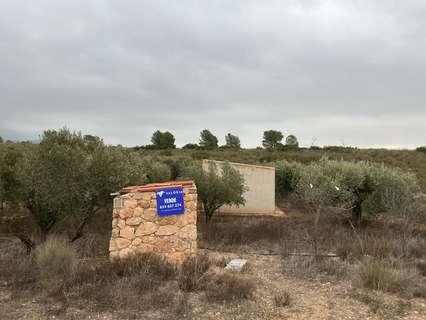 Parcela rústica en venta en Aledo