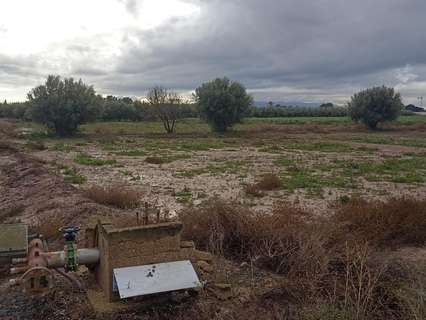 Parcela rústica en venta en Totana