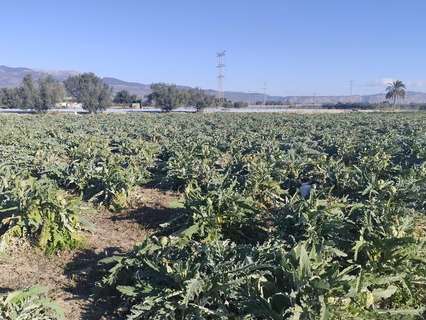 Parcela rústica en venta en Totana